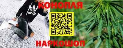 spice Аргун