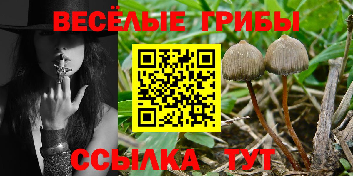 Галлюциногенные грибы ЛСД Артём