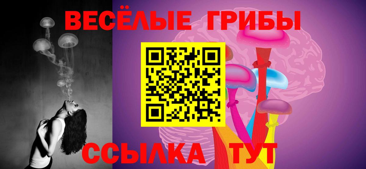 Артём  Галлюциногенные грибы Psilocybine cubensis  Вход с VPN 